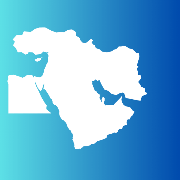 Middle East & North Africa 12